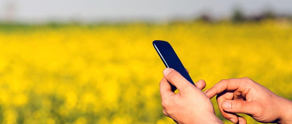 (c) CC0 Public Domain / Pixabay.com